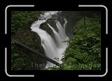 Olympic National Park 5 * 3504 x 2336 * (3.24MB)